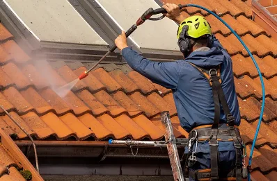 Démoussage et hydrofuge de toiture à Trémentines